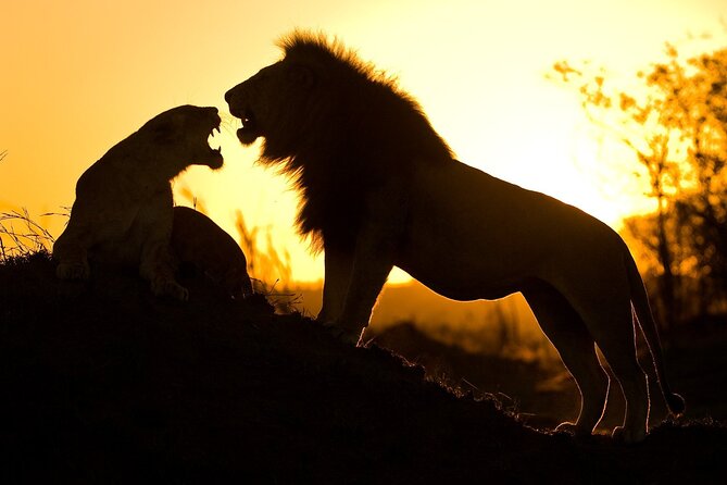 5 Days Safari Tarangire, Serengeti, and Ngorongoro Crater - What the $2,300 price means