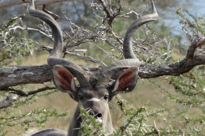 5 Days Safari to Nyerere NP (Selous GR) and Mikumi NP - Key points at a glance