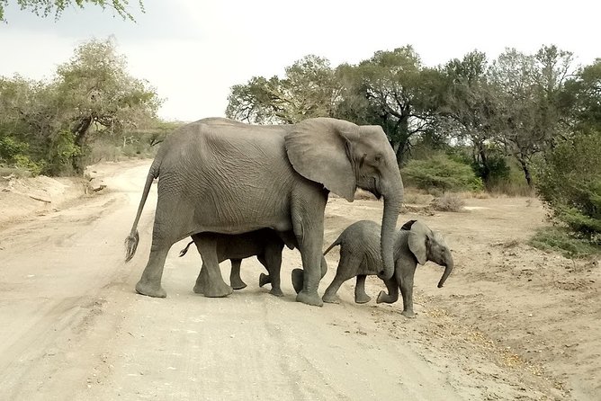 5 Days Safari to Nyerere NP (Selous GR) and Mikumi NP - What the $1,446.16 price covers