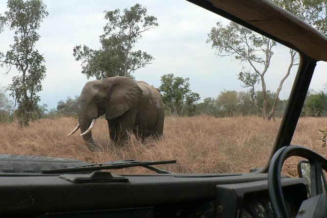 5 Days Safari to Selous & Mikumi - Why this southern Tanzania safari feels different