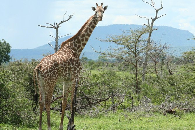5 Days Safari to Selous & Mikumi - Day 3: Leaving Selous through Morogoro toward Mikumi
