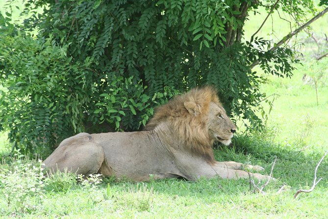 5 Days Safari to Selous & Mikumi - Day 4: A full day across Mikumi’s flood plain