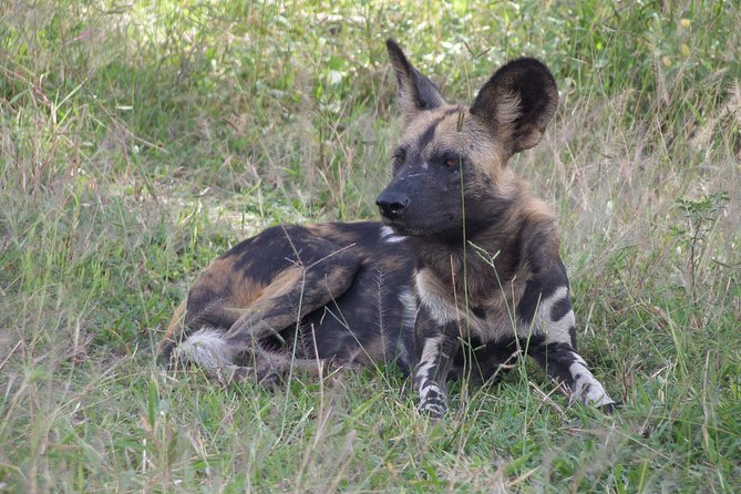 5 Days Safari to Selous & Mikumi - What the $1,999 price includes