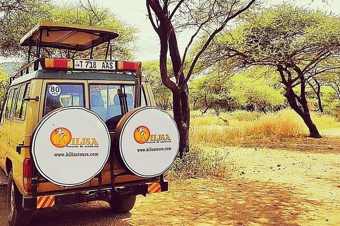 5 days Safari to Tarangire, Ngorongoro, Serengeti and Lake Manyara - Why this five-day route works