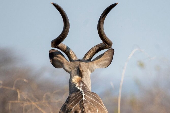5-Days Selous Game Reserve and Mikumi National Park Tour - Why this southern Tanzania route is different