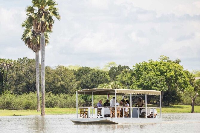 5-Days Selous Game Reserve and Mikumi National Park Tour - Day 4: Uluguru Mountain views and a Mikumi game drive