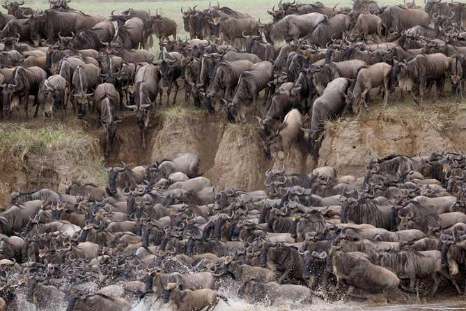 5 Days Serengeti Camping Safari - Day 3: Early wildlife viewing in Seronera