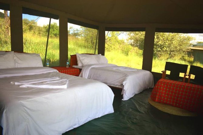 5 days serengeti, ngorongoro, tarangire & manyara lodge tour - Ngorongoro brings wildlife into a compact setting