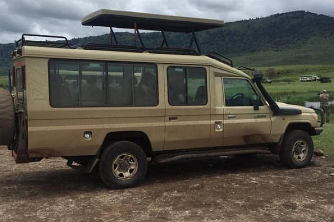 5 days serengeti, ngorongoro, tarangire & manyara lodge tour - Food, transport, and the real cost of the trip