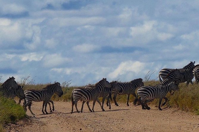 5 days Serengeti safari|Experience the great wildebeest migration - Day four: leaving the Serengeti for Ngorongoro