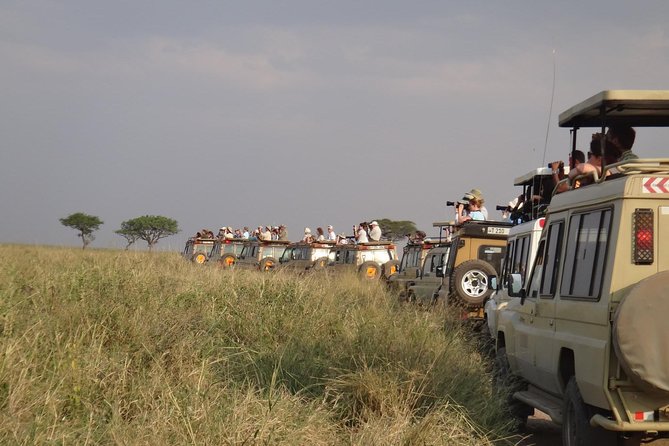 5 Days Special Safari to see migration - Day 2: The long road into Serengeti National Park