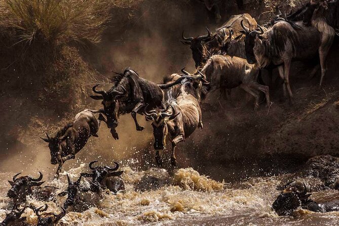 5 Days Special Safari to see migration - Day 3: A full Serengeti day from morning to sunset