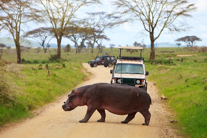 5 Days Tanzania Budget Camping Safari from Arusha - Four parks in five days, with very little wasted time