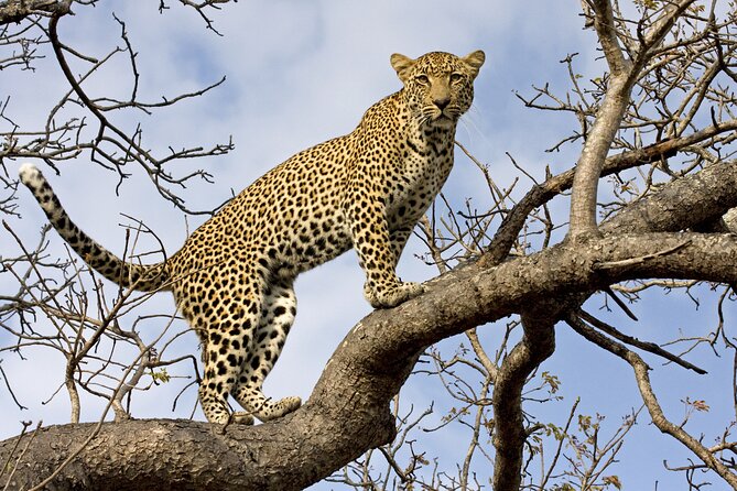 5 Days Tanzania Budget Camping Safari from Arusha - Day 1: Lake Manyara’s forest, cliffs, and lake edge
