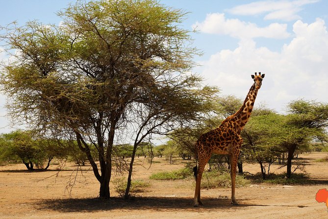 5 days Tanzania Camping Safari - Day Two: Reaching the Serengeti Plains