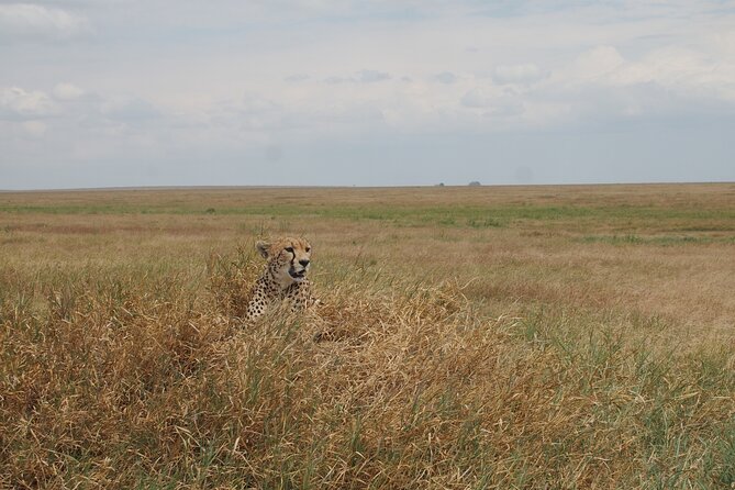 5 days Tanzania Camping Safari - What Camping Really Means Here