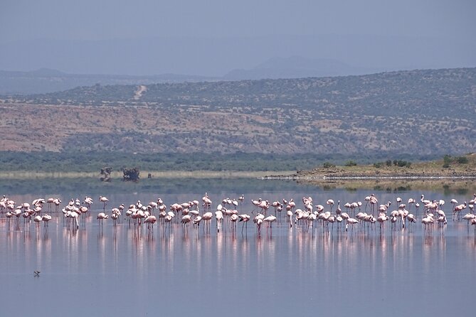 5 Days Tanzania Family Safari - Who will get the most from this safari