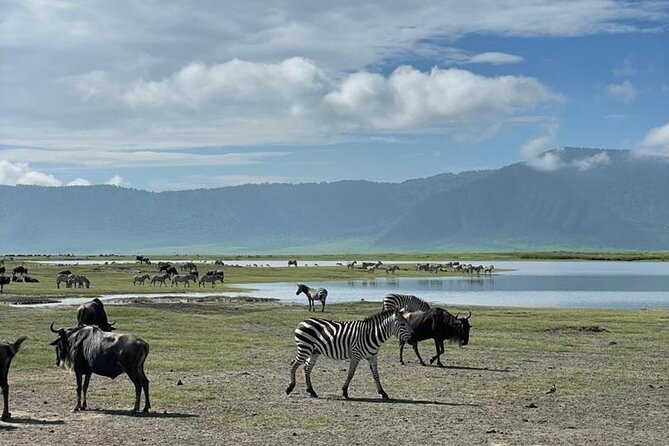 5 Days Tanzania Joining Safari with Pick Up Included Shared Tour - Guides, vehicles, and the shared-tour question