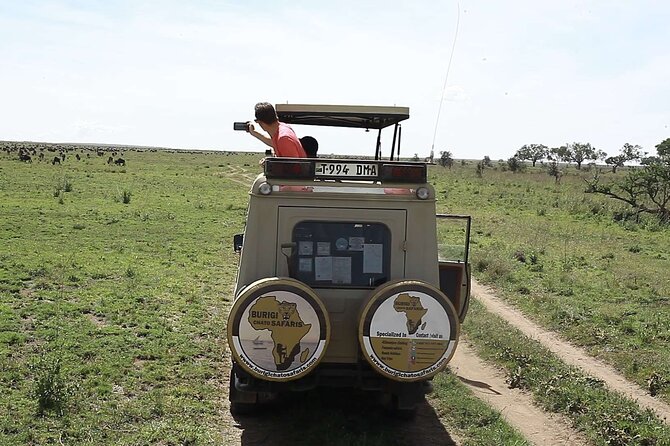 5 days Tanzania midrange lodge Private safari - What the private format changes