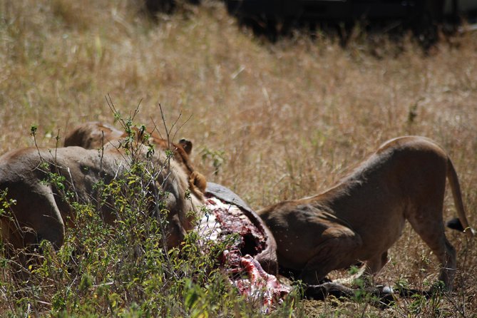 5 Days Tanzania Safari from Mwanza to Arusha - Day 5: Lake Manyara and the final drive to Arusha