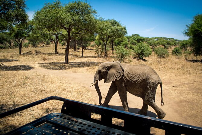 5 Days Tanzania Safari Great Wildebeest Migration - Following the Migration Across Northern Tanzania