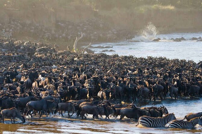 5 Days Tanzania Safari Great Wildebeest Migration - Day One: Tarangire’s Elephants and Baobabs