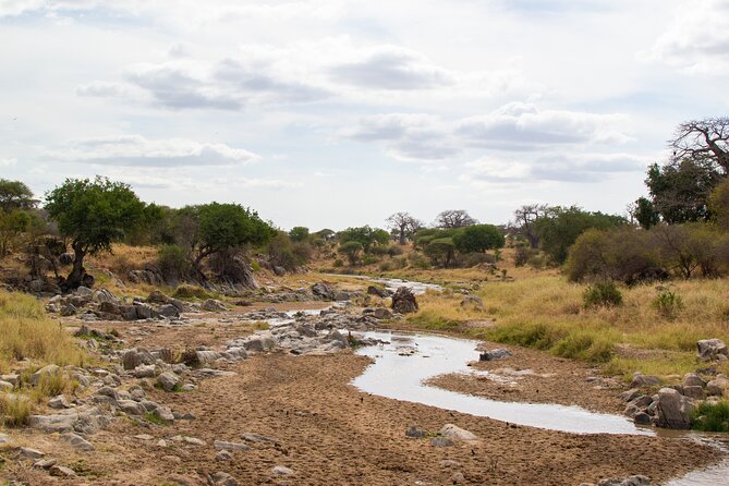 5 Days Tanzania Safari Great Wildebeest Migration - What the $1,990 Price Really Covers