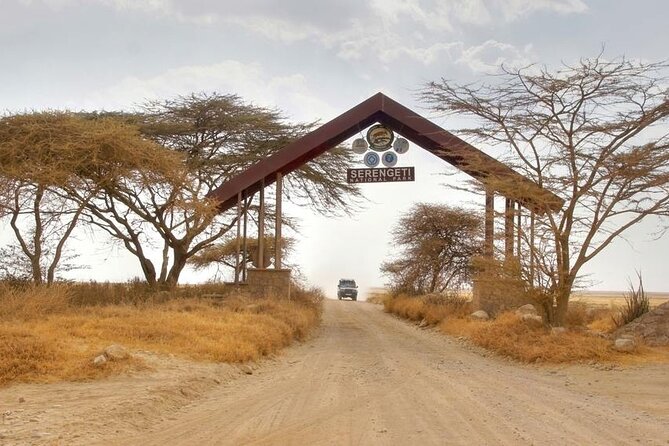 5 Days Tanzania Safari Great Wildebeest Migration - Day Three: The Main Search for Wildebeest