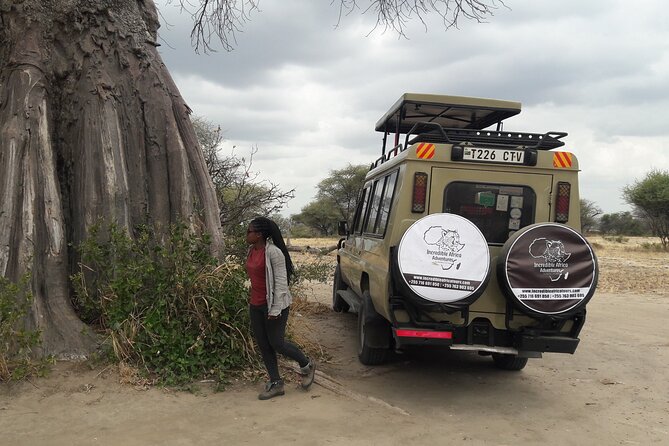 5 Days Tanzania Safari - Migration and Big 5 Safaris - What this five-day safari really covers