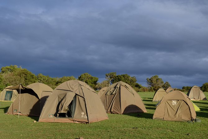 5 Days Tarangire ,Serengeti.Ngorongoro and Lake manyara - Day 2: The long road into the Serengeti