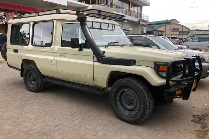 5 Days Under Serengeti Skies Tour - Day 1: Tarangire’s elephants and quieter roads