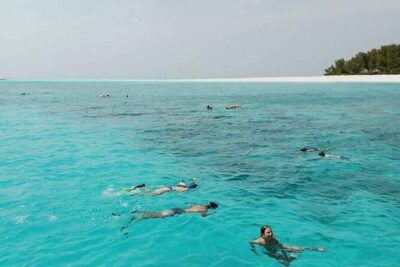 5-Hour Snorkeling, Swimming with Dolphins and Sea Turtles Aquarium