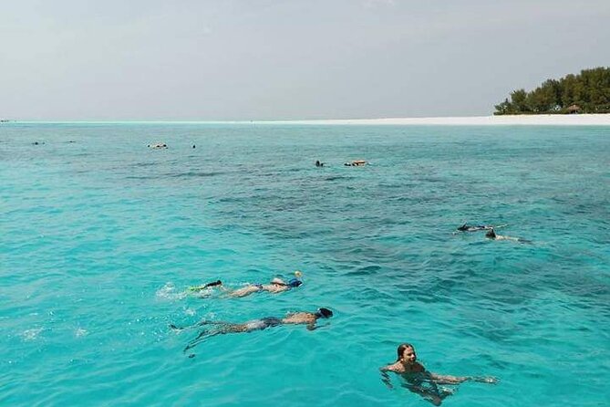 5-Hour Snorkeling, Swimming with Dolphins and Sea Turtles Aquarium - What the 8 a.m. start looks like