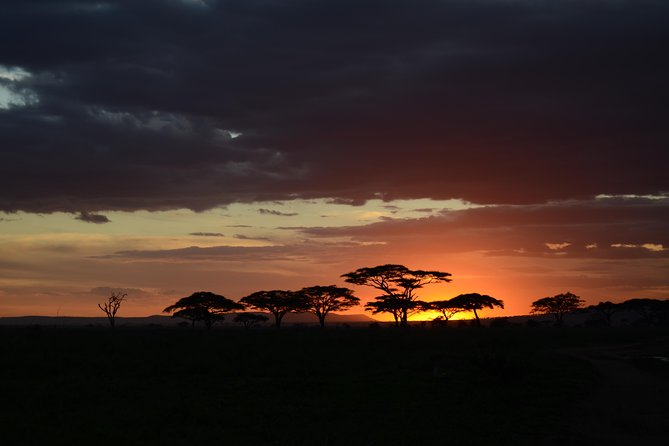 5days Tanzania Safari lodge and camping Serengeti, Tarangire & Ngorongoro Crater - Key points before you book