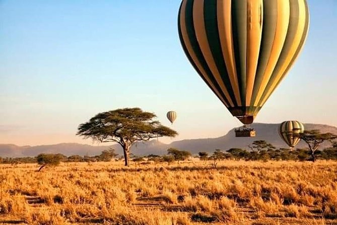 5days Tarangire,Serengeti,ngorongoro Crater and Lake Manyara National park - Day two: the long road from Tarangire to the Serengeti