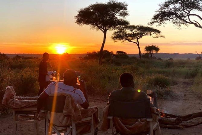 5days Tarangire,Serengeti,ngorongoro Crater and Lake Manyara National park - Day four: down into the Ngorongoro Crater
