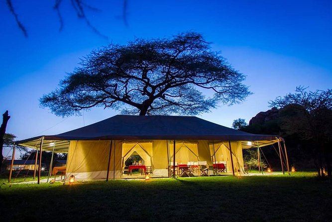 5days Tarangire,Serengeti,ngorongoro Crater and Lake Manyara National park - Day five: Lake Manyara before the return to Arusha