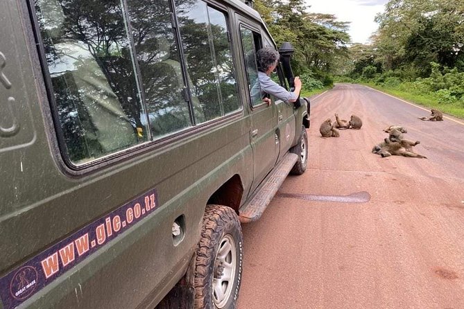 5days Tarangire,Serengeti,ngorongoro Crater and Lake Manyara National park - Day one: elephants and baobabs in Tarangire