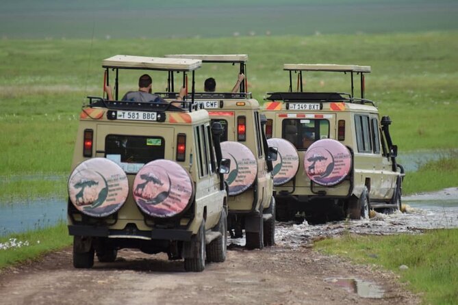 6-Day Big Five Magic Safari Tour - Day one: Tarangire’s elephants and broad plains