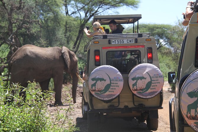 6-Day Big Five Magic Safari Tour - Days two through four: making time for the Serengeti
