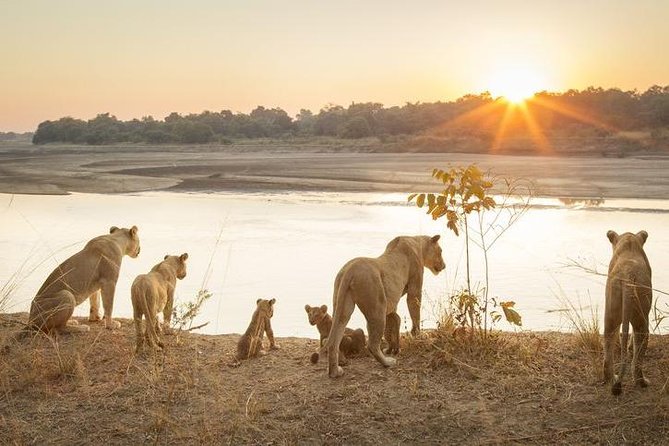 6-Day Budget Lodge Safari in Tanzania - Why this six-day route works