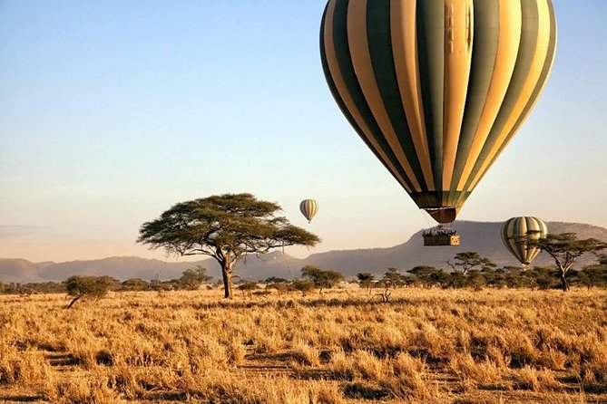 6-Day Budget Lodge Safari in Tanzania - Day 6: Ngorongoro Crater and the big-five possibility