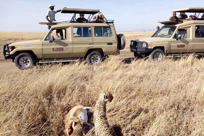 6-Day Budget Lodge Safari in Tanzania - What the $3,720.31 price really covers