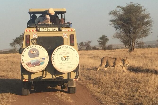 6 Day Group Camping Safari Tarangire Serengeti Ngorongoro Manyara - Day two: The long road toward the Serengeti