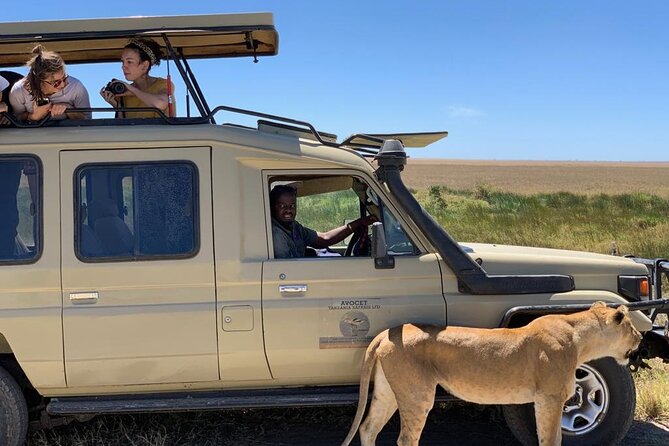 6 Day Group Camping Safari Tarangire Serengeti Ngorongoro Manyara - Day six: Birds, elephants, and Lake Manyara