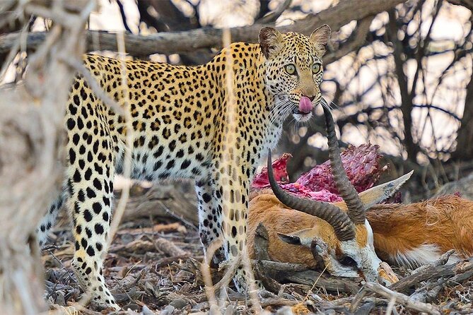 6 Day Group Camping Safari Tarangire Serengeti Ngorongoro Manyara - What is included, and what will cost extra