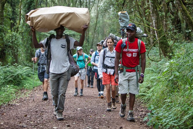 6-Day Guided Tour in Machame Route Mt Kilimanjaro - Day 1: Machame Gate to rainforest camp