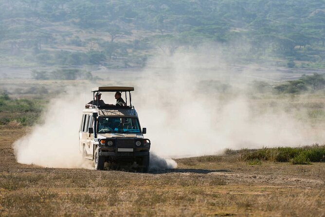6-Day Honeymoon Safari Tour Package in Tanzania - Day 3: The long road to Seronera in the Serengeti