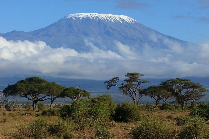 6-Day Kilimanjaro Climbing Via Machame Route - Key points before you book