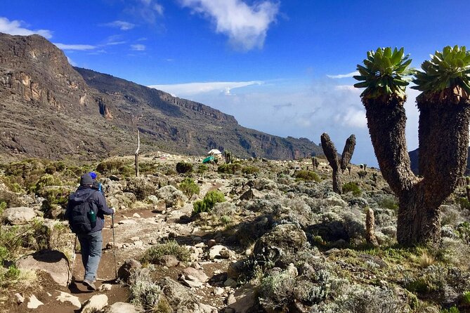6-Day Kilimanjaro Climbing Via Machame Route - Day 3: Lava Tower and the Barranco acclimatization circuit